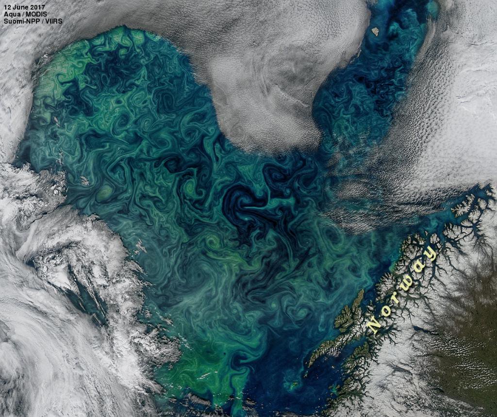 A phytoplankton bloom highlighting the swirling, eddying nature of our oceans